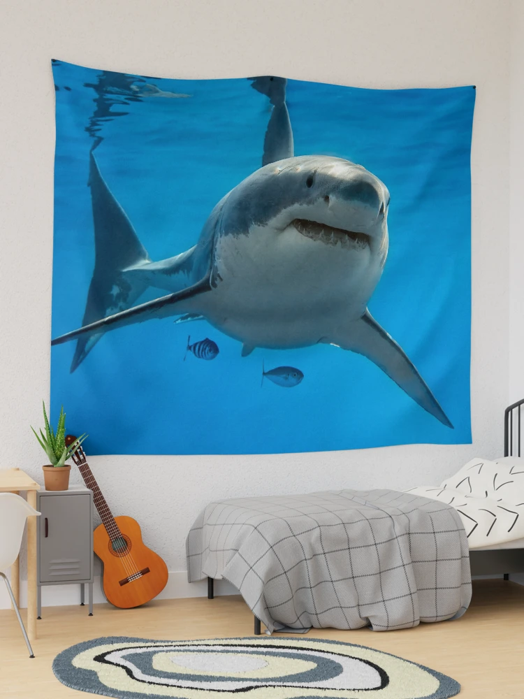 Shark tapestry online