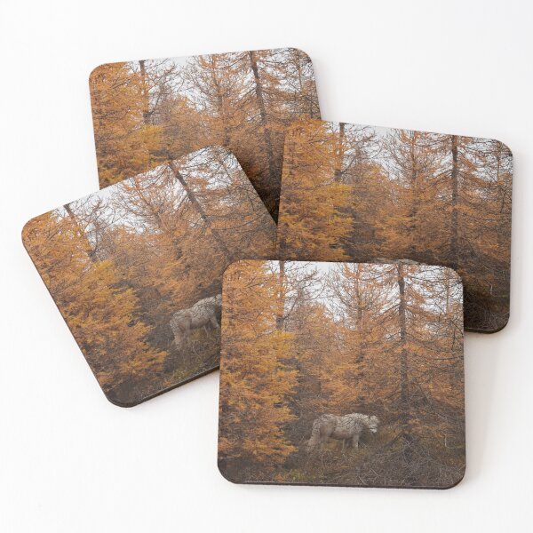 Item preview, Fannar in the forest I designed and sold by elisainiceland.