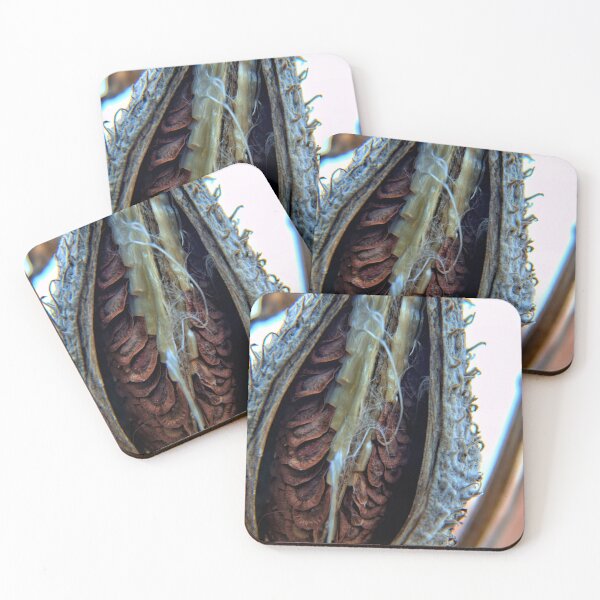 Item preview, Milkweed Seed designed and sold by LynyrdSky.
