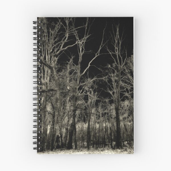 Item preview, black noise designed and sold by g richard anderson.