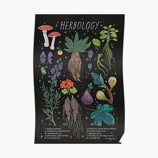 "Herbology" Poster by altdesigner Redbubble