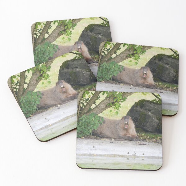 Item preview, Capybara yawning designed and sold by Ksswaden.