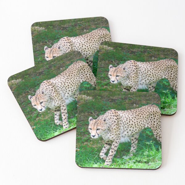 Item preview, Wandering Cheetah designed and sold by Ksswaden.