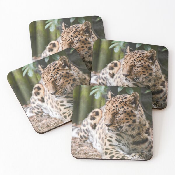 Item preview, Amur Leopard designed and sold by Ksswaden.