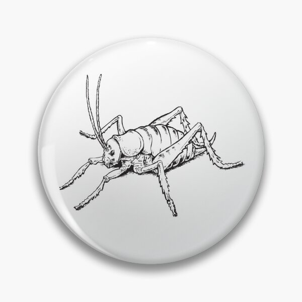 Item preview, JMB STUFF - BUGS - GIANT WETA designed and sold by JMB-STUFF.