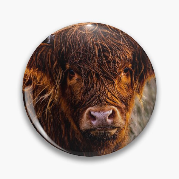 Item preview, Highland Cattle Portrait designed and sold by RCMPhotography.