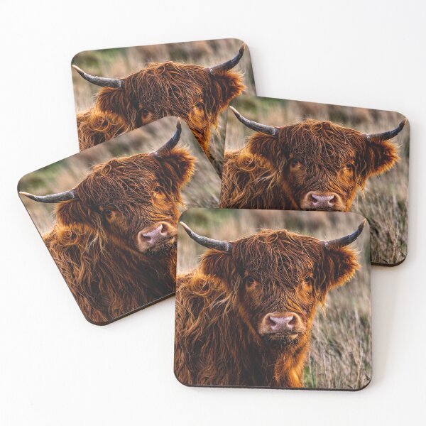 Item preview, Highland Cattle Portrait designed and sold by RCMPhotography.