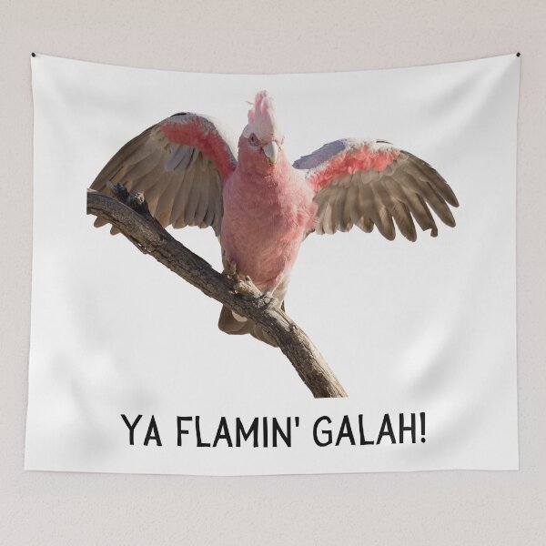 Item preview, Ya flamin galah (You flaming galah). Photograph of pink and grey galah and black text. designed and sold by JellyBeenzz.