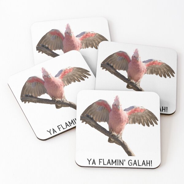 Item preview, Ya flamin galah (You flaming galah). Photograph of pink and grey galah and black text. designed and sold by JellyBeenzz.