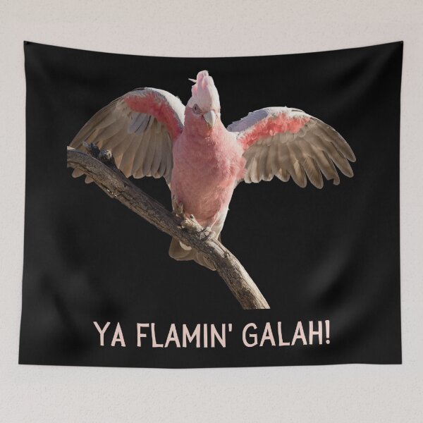 Item preview, Ya flamin galah (You flaming galah). Photograph of pink and grey galah and light colour text. designed and sold by JellyBeenzz.