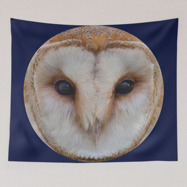 Item preview, JUST WATCH OUT, YOU ARE BEING OBSERVED designed and sold by CuddlyTikee.