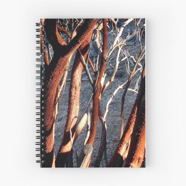 Aperçu de l'œuvre Peeling Manzanita Bark créée et vendue par Chris Gudger.