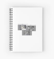 aesthetic 5 Spiral Notebook