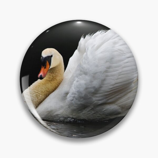 Item preview, Mute Swan reflection designed and sold by Violaman.