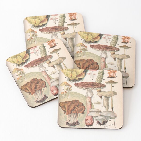 Item preview, Vintage Mushroom Botanical Print Design 5 designed and sold by Paul David Wilson.