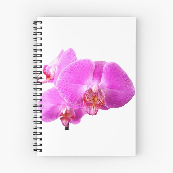 Artikelvorschau, Orchidee entworfen und verkauft von Darkmonkey.