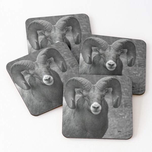 Item preview, Ram Close in grey designed and sold by James (820Photography) Anderson.