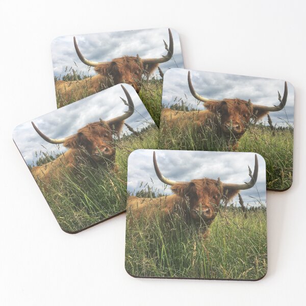 Item preview, Scottish Highland Cattle Cow 2040 designed and sold by SaarelaHighland.