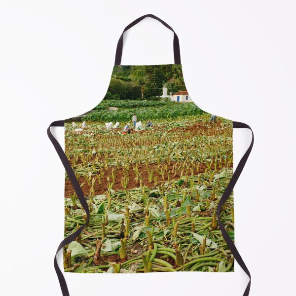 Item preview, Taro field designed and sold by Gaspar Avila.