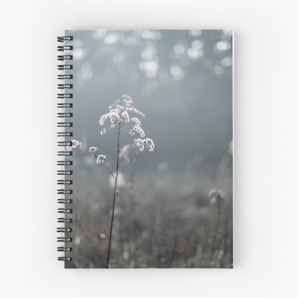 Item preview, lightness of being designed and sold by Miszkiewicz.