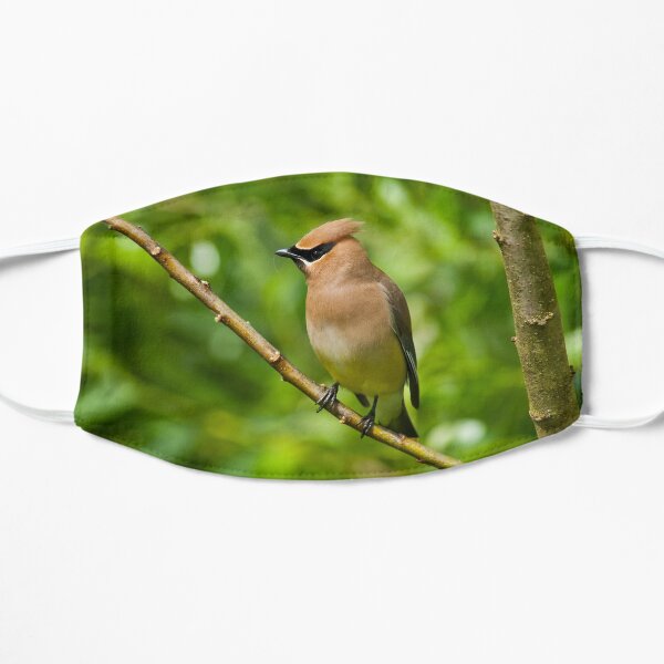 Cedar Waxwing Gathering Nesting Material Flat Mask