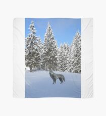 A wolf in the snow. Scarf