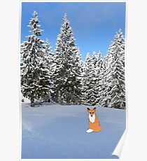 A fox in the snow. Poster