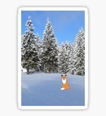 A fox in the snow. Sticker