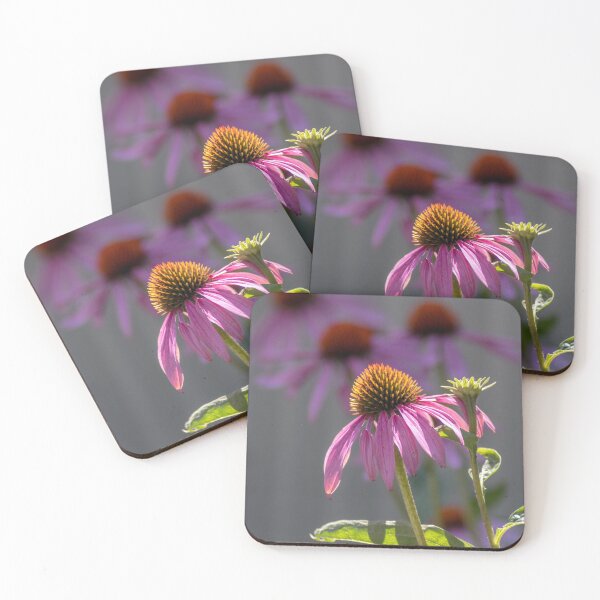 Item preview, Pink cone flowers in a sunny summer garden designed and sold by Susan Sheldon.