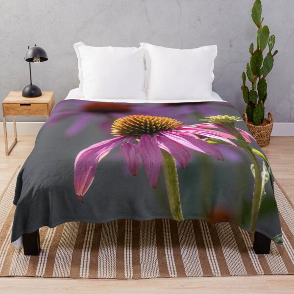 Item preview, Pink cone flowers in a sunny summer garden designed and sold by Susan Sheldon.