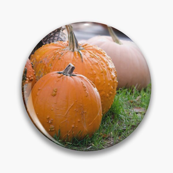 Item preview, Bumpy pumpkin landscape in fall designed and sold by Susan Sheldon.