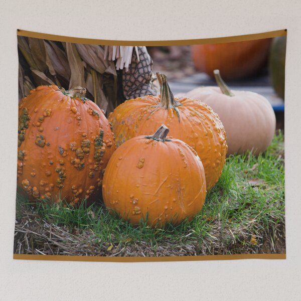 Item preview, Bumpy pumpkin landscape in fall designed and sold by Susan Sheldon.