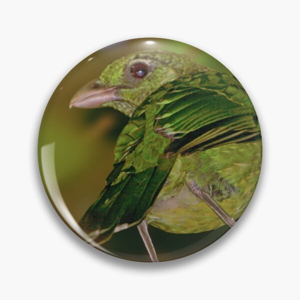 Item preview, Green Catbird designed and sold by Robert Elliott.