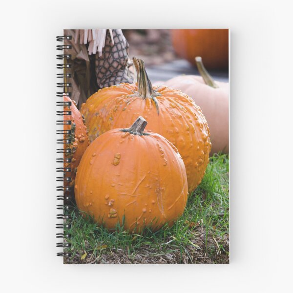 Item preview, Bumpy pumpkin landscape in fall designed and sold by Susan Sheldon.