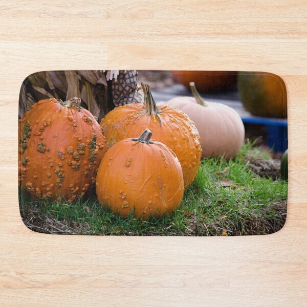 Item preview, Bumpy pumpkin landscape in fall designed and sold by Susan Sheldon.