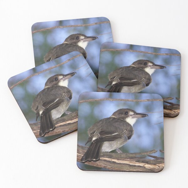 Item preview, Grey Butcherbird ~ Immature designed and sold by Robert Elliott.