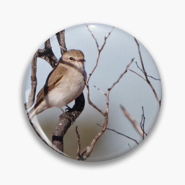 Item preview, Jacky Winter designed and sold by Robert Elliott.