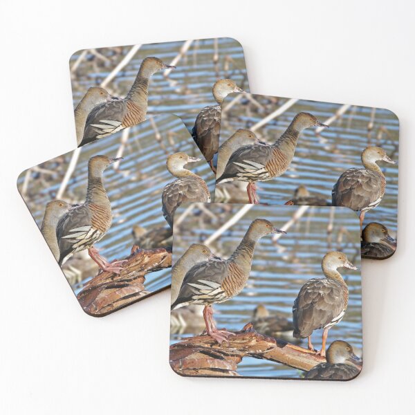 Item preview, Plumed Whistling Ducks ~ Yep, where just another Duck designed and sold by Robert Elliott.