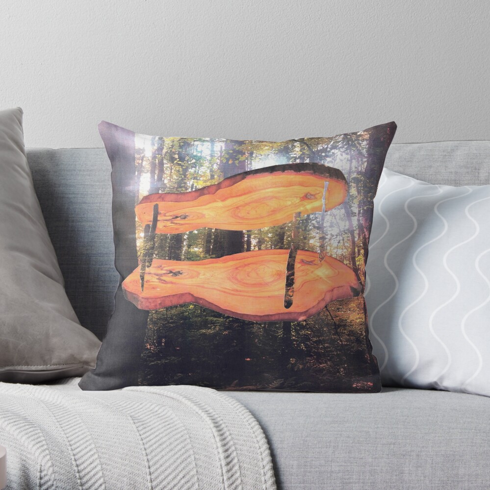 throw pillow