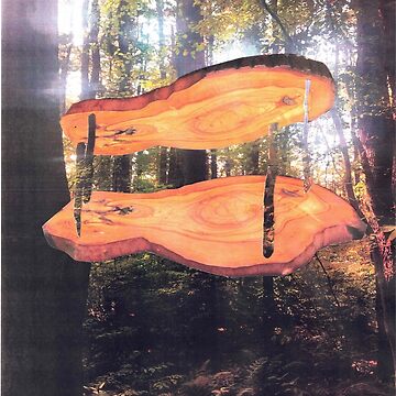 Artwork thumbnail, IT GREW LIKE THAT by DAVID Liberty