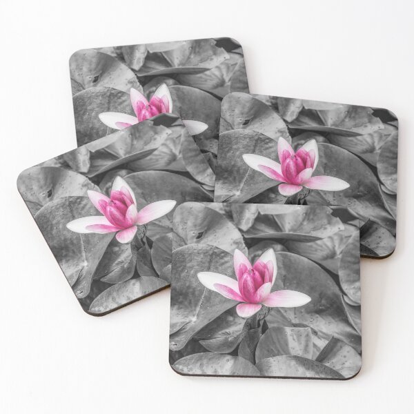 Item preview, Opening Hot Pink Waterlily designed and sold by mljdwhite.