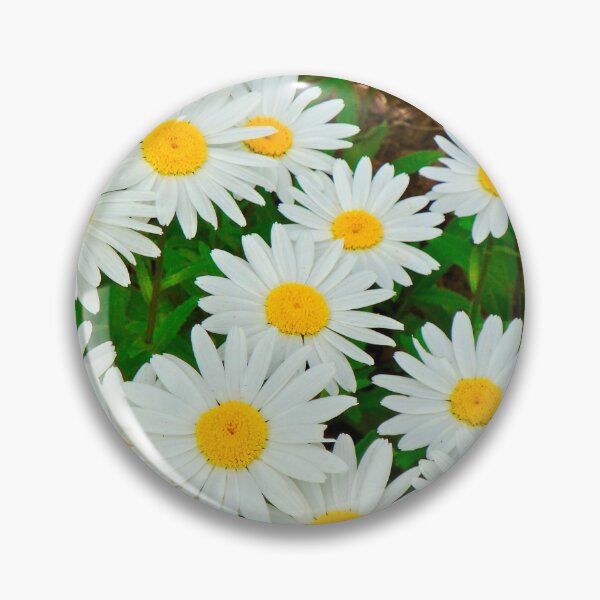 Item preview, Delightful Daisies designed and sold by Anthony Macaluso.