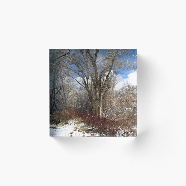 Item preview, Cold snowy winter landscape designed and sold by Ventures1.