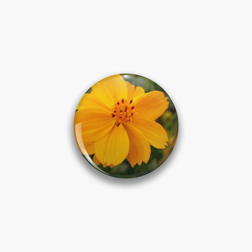 Golden Coreopsis Pin