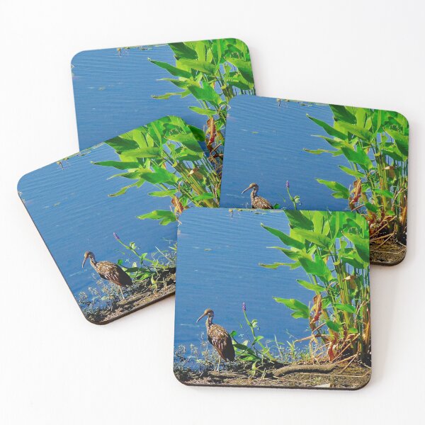 Item preview, Bird on the Brink designed and sold by Anthony Macaluso.