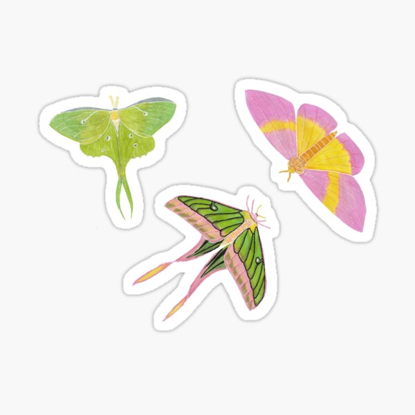 Surreal moth sticker set - 2 stickers | Artéyrie