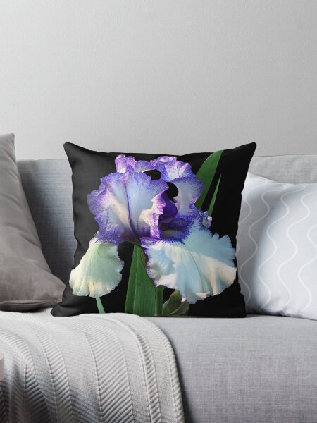 Item preview, Spotlight on 'Freedom Song' bearded iris designed and sold by rvjames.