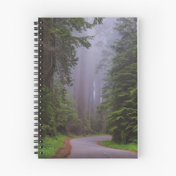 Item preview, California, Redwood Forest  designed and sold by beachfanatic.