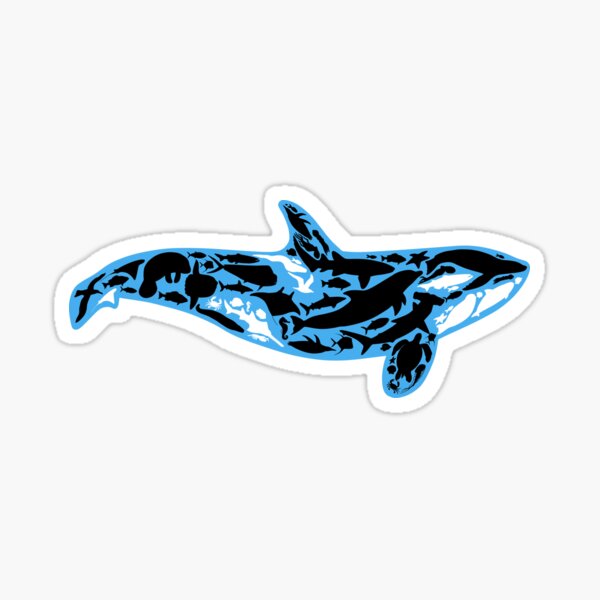 Ocean Orca - Blue Border Sticker