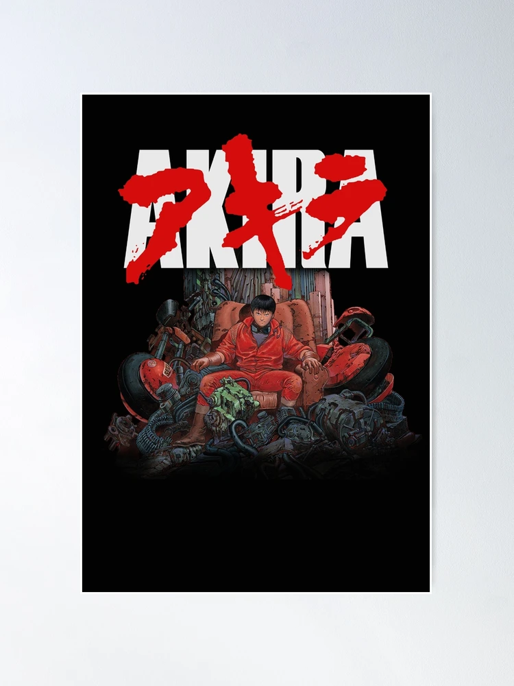 専用 KANEDA 額装 1000 Editions AKIRA POSTER LP KANEDA 額装 1000 Editions AKIRA POSTER
